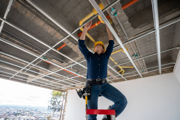 Best Local Plumber Services  in Neenah, WI